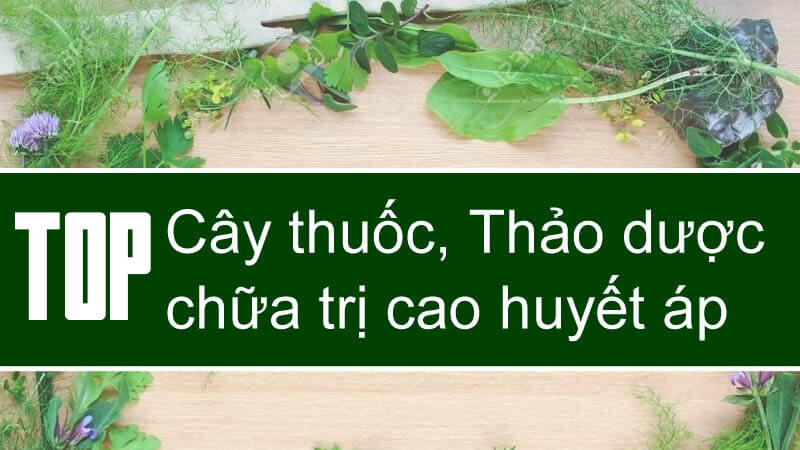 dieu-tri-cao-huyet-ap