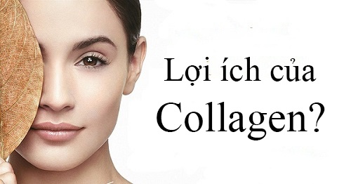 loi_ich_cua_collagen_combo_gymiss_COLLAGEN_SERUM