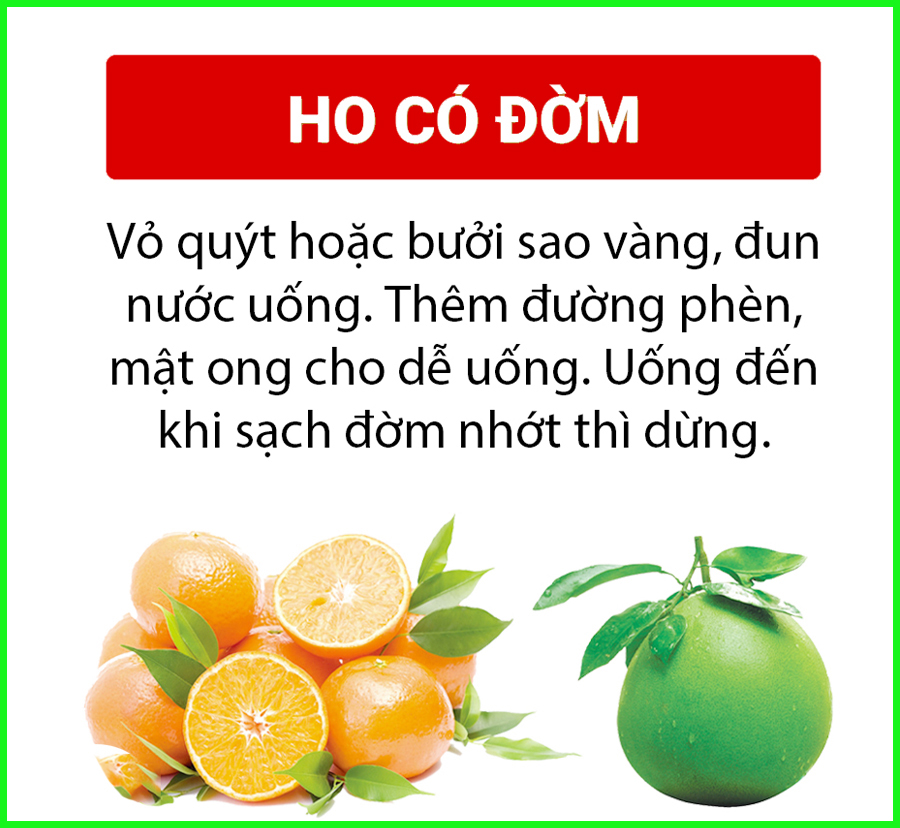 tri-ho-co-dom